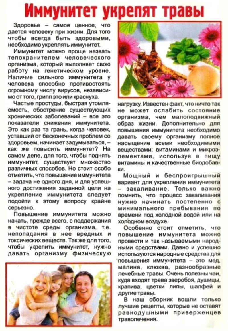 Укрепление иммунитета у взрослых. Лекарственные травы для поднятия иммунитета. растения для укрепления иммунитета. растение для повышения иммунитета. укрепление иммунитета памятка.