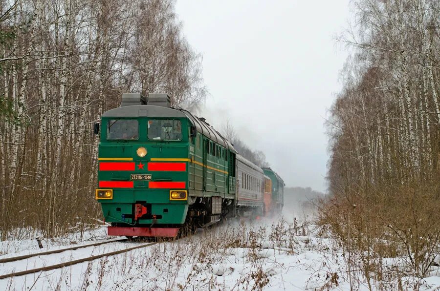 Озеры поезд. 2тэ116 1349. 2тэ116 в депо. 2тэ116-1549. 2тэ116-1530.