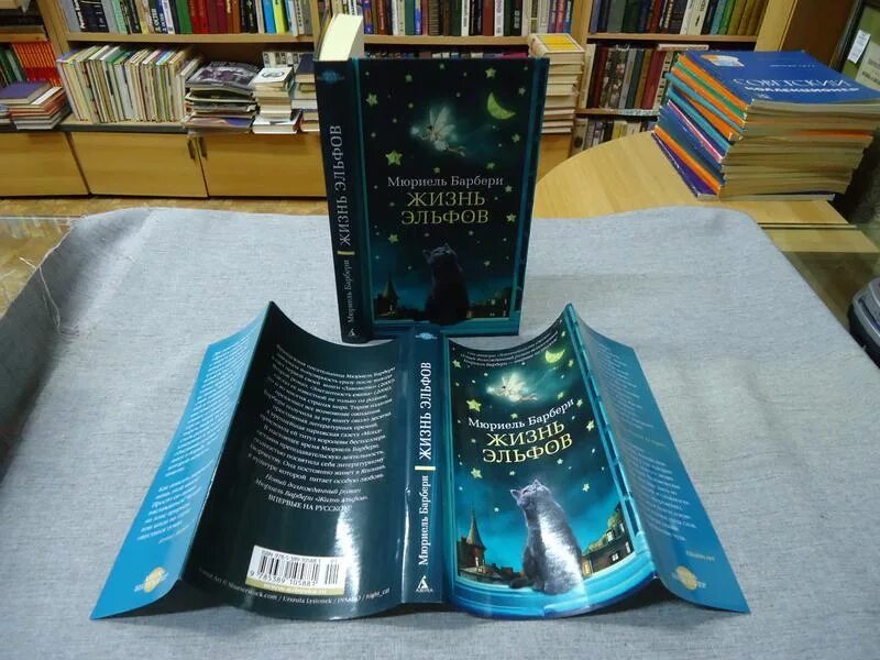 жизнь эльфов
