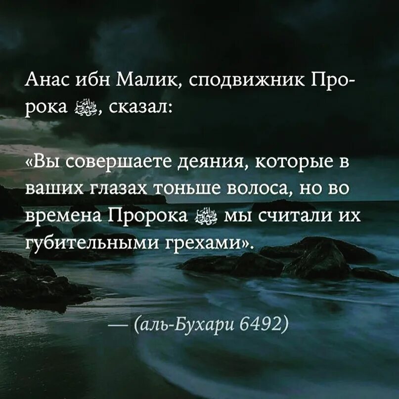 Цитаты сподвижников. Мудрые слова сподвижников. Высказывание сподвижников пророка. Мудрые словаспожвижников. Анас он твиттер