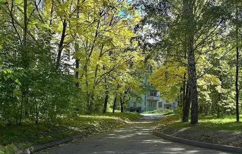 Погода нгу