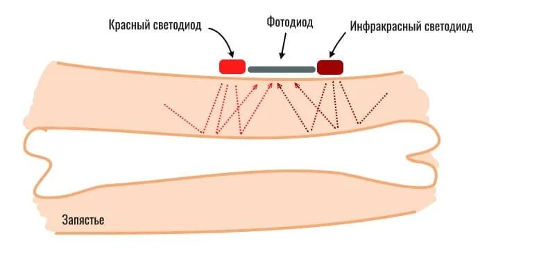Принцип работы пульсоксиметрии. Принцип измерения пульсоксиметра. Принципиальная схема пульсоксиметра. Отраженная пульсоксиметрия. Принцип работы пульсоксиметра.