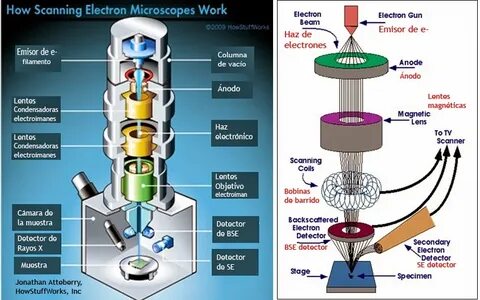 Transmission microscopy