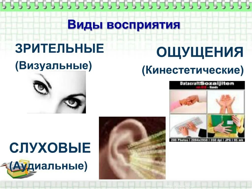 Виды восприятия слуховое. Ощущение и восприятие. Виды зрительного восприятия. Типы восприятия аудиальные визуальные и кинестетические. Визуальный слуховой кинестетический.