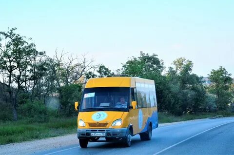 Рута нова