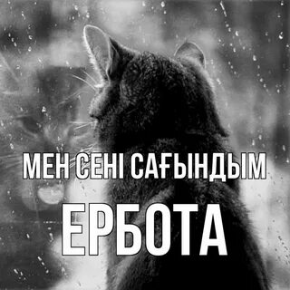 Әйел үйге сперматозоидқа толы кискамен келді.