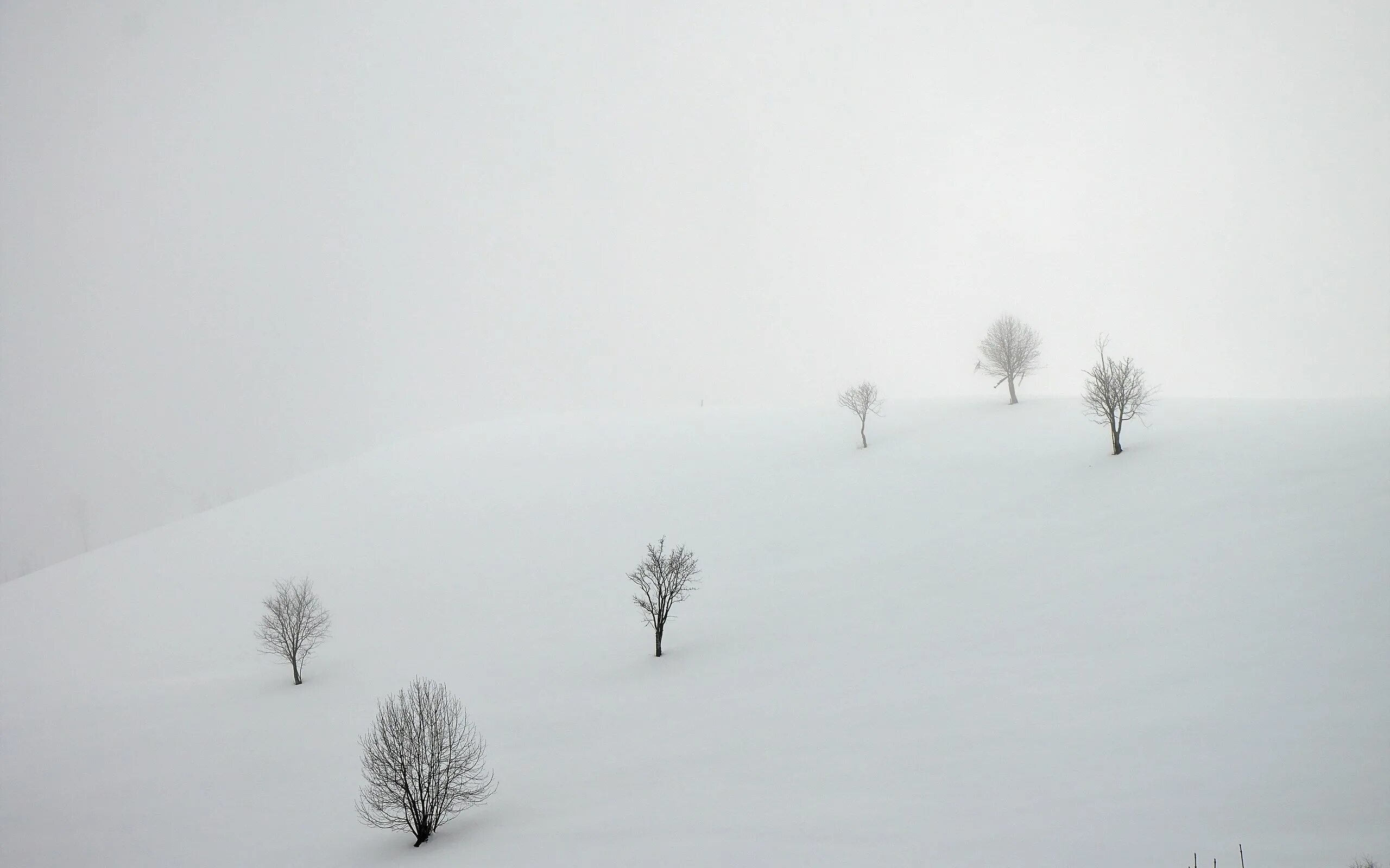 Поле зимой. Снежное поле. Туман в снегу. Зимнее белое поле. Сугроб сугробы туман