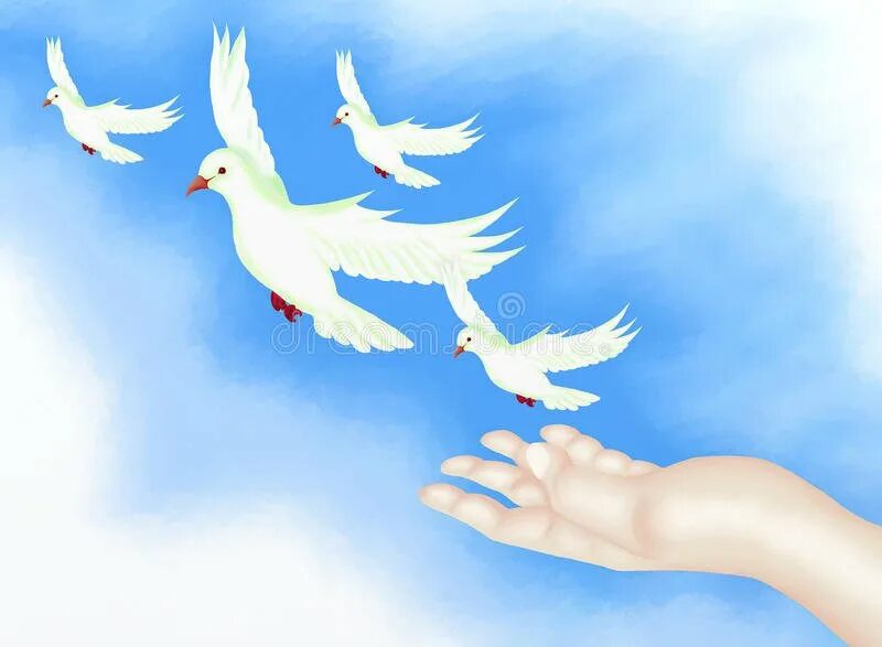 Руки с голубем небо. Голубь на ладони. Мир голубь в руках. Голуби в небе.