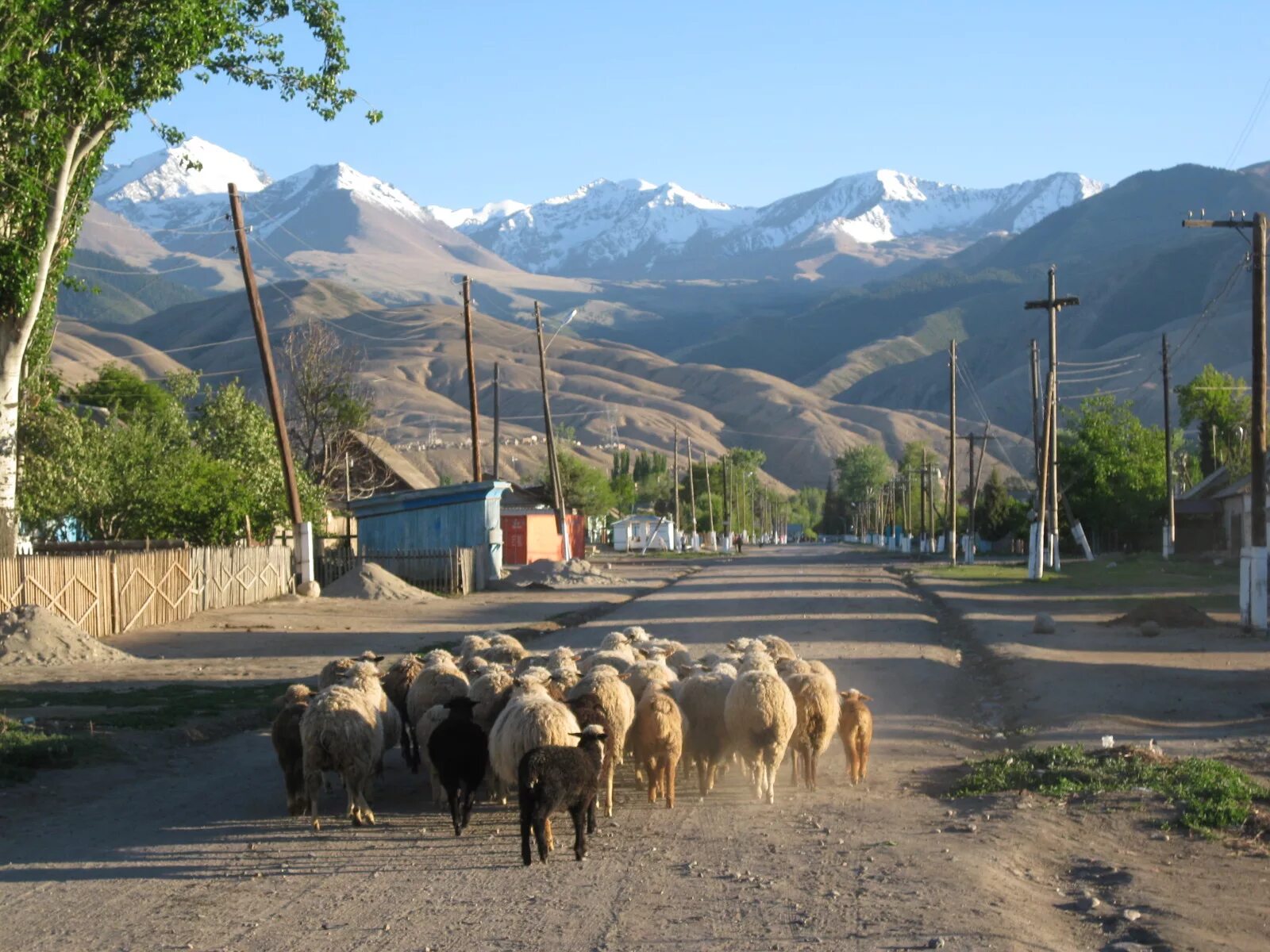 Поселки киргизии. Село тамга Иссык-Куль. Село Кочкорка Киргизия. Село Барскоон Киргизия. Село Шекер Киргизия.