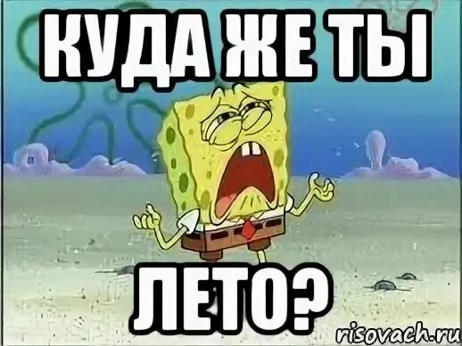 Мемы конец лета