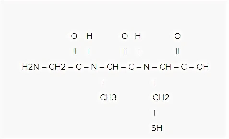 Ала сер про. Трипептида ала-гли-ала.. Гли ала сер. Трипептид гли ала гли. Схема образования любого трипептида.