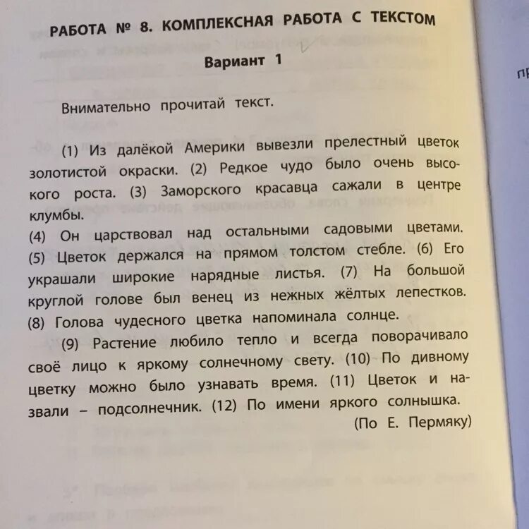 Диктант цветочные часы. Дивный цветок текст. Диктант цветы. Диктант дивный цветок. Диктант цветы 3.