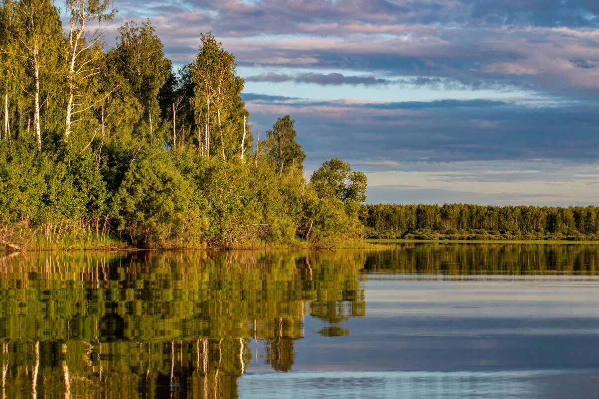 Пейзаж Иртыша. Озеро Иртыш. Пейзаж Иртыш Омск. Осень на Иртыше.