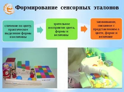 Развитие сенсорных эталонов