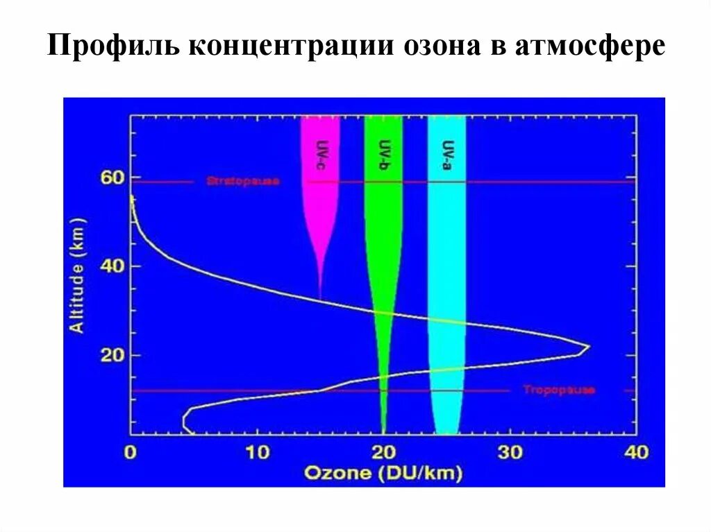 Концентрация озона в воздухе. Концентрация озона в атмосфере. Распределение озона в атмосфере. Снижение концентрации озона в атмосфере. Профиль концентрации.