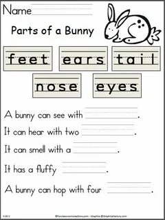 Bunny перевод