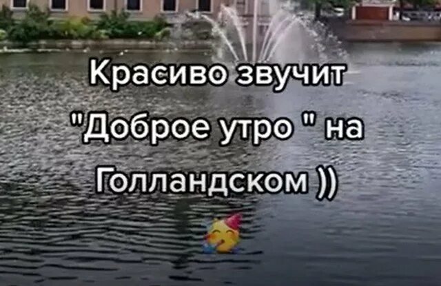 Песня доброе утро на голландском. Доброе утро на голландском языке. С добрым утром на голландском языке. Доброе утро на нидерландском. С добрым утром на голландском языке песня.