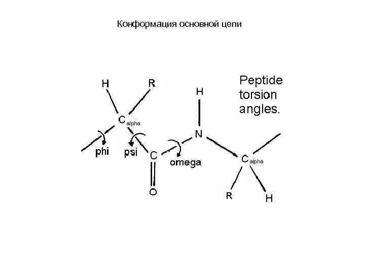 Конформации цепи. Скошенная конформация бутана. Малат конформация. Гош конформация. Компактная конформация.