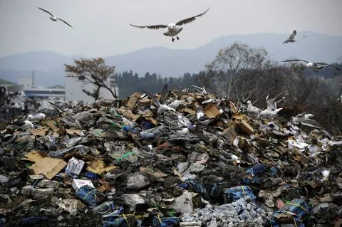 The environment consequences