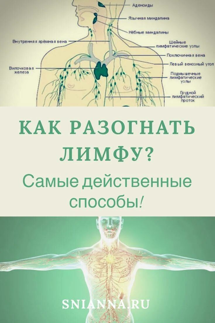 Улучшение лимфотока
