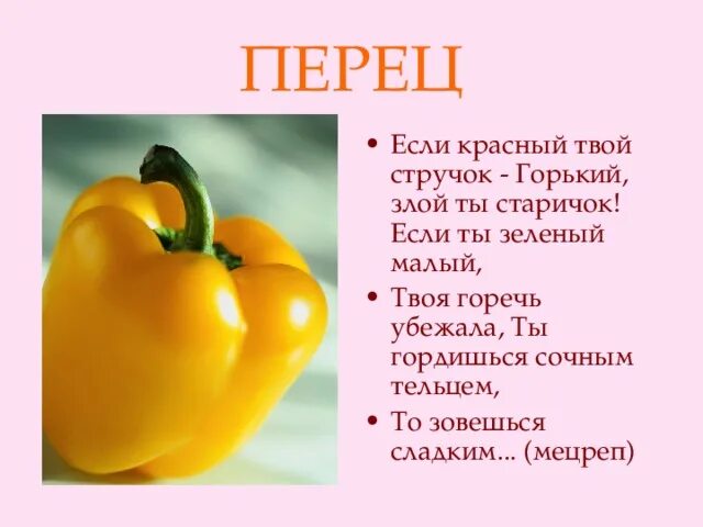 Семейство Паслёновые - презентация онлайн