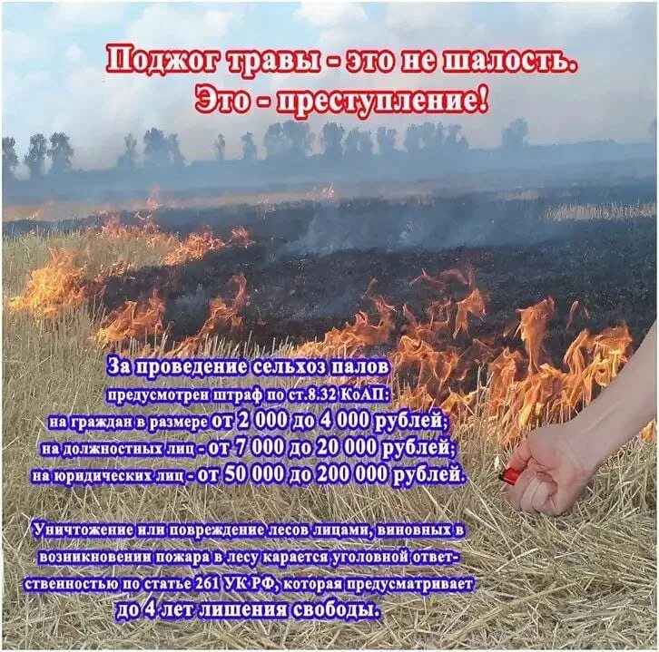 Штраф за поджог сухой травы. Пал травы памятка по пожарной безопасности. памятка не жгите сухую траву. о запретевыжигание сухой растительности.