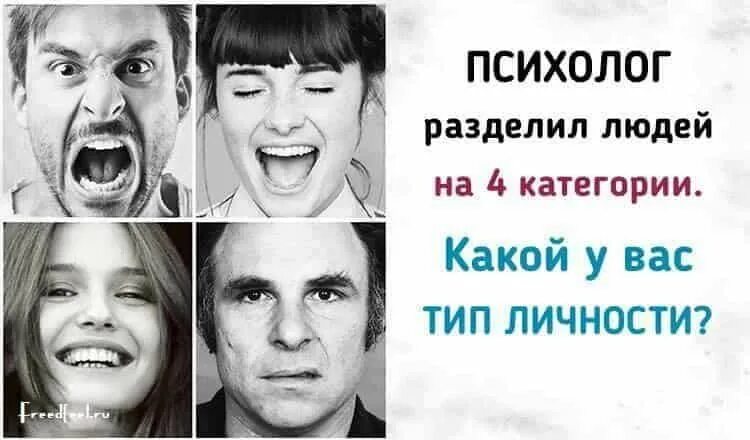 Какой вы тип друга. Разделение человека на типы личности. какой у вас тип личности. психологическое разделение людей. категории людей.