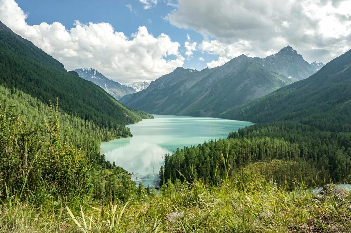 горы алтая горно=алтайск. южно-чуйский хребет. горный алтай территория. гора белуха горный алтай озеро дарашколь. тюнгур горный алтай.
