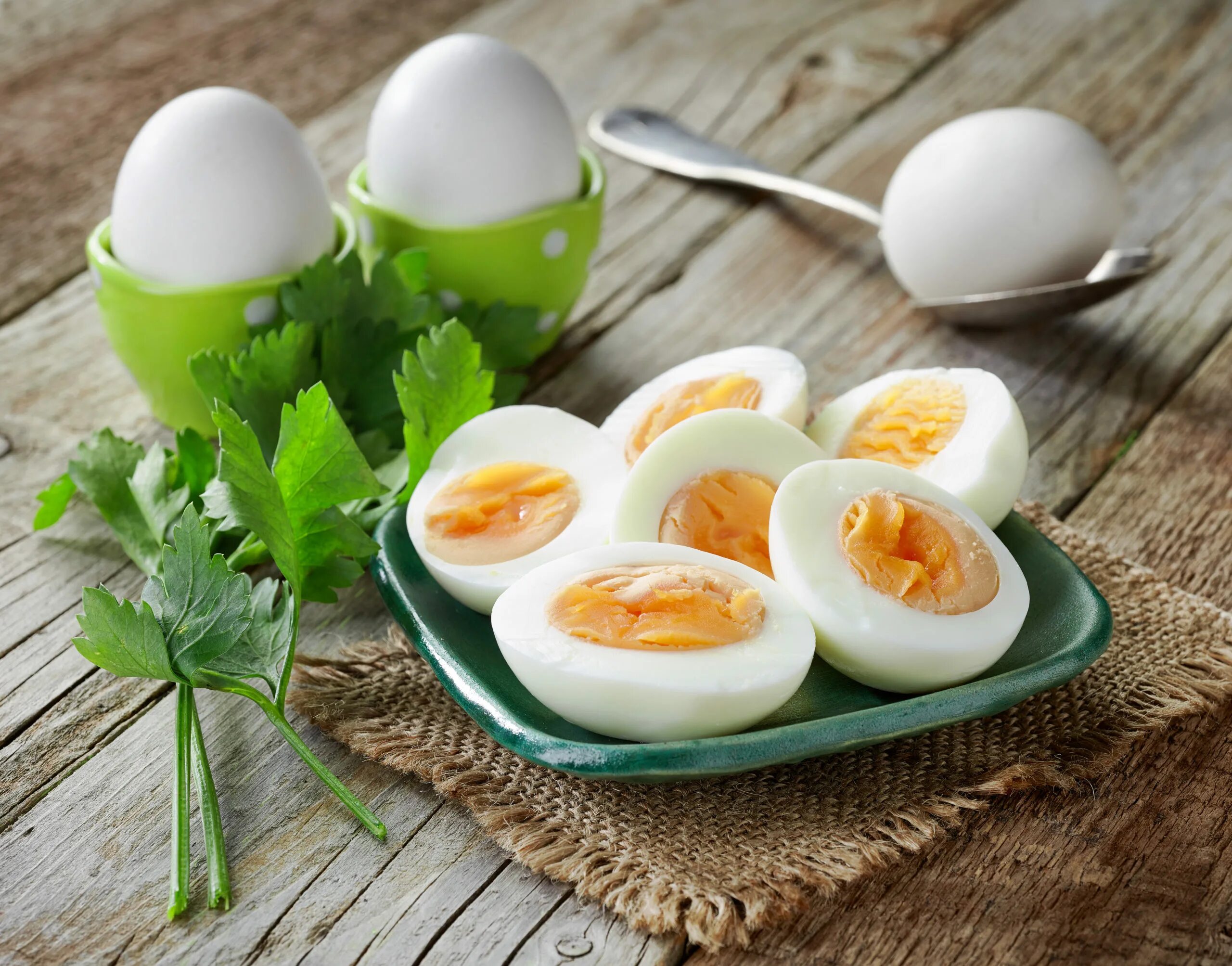 Eggs astd