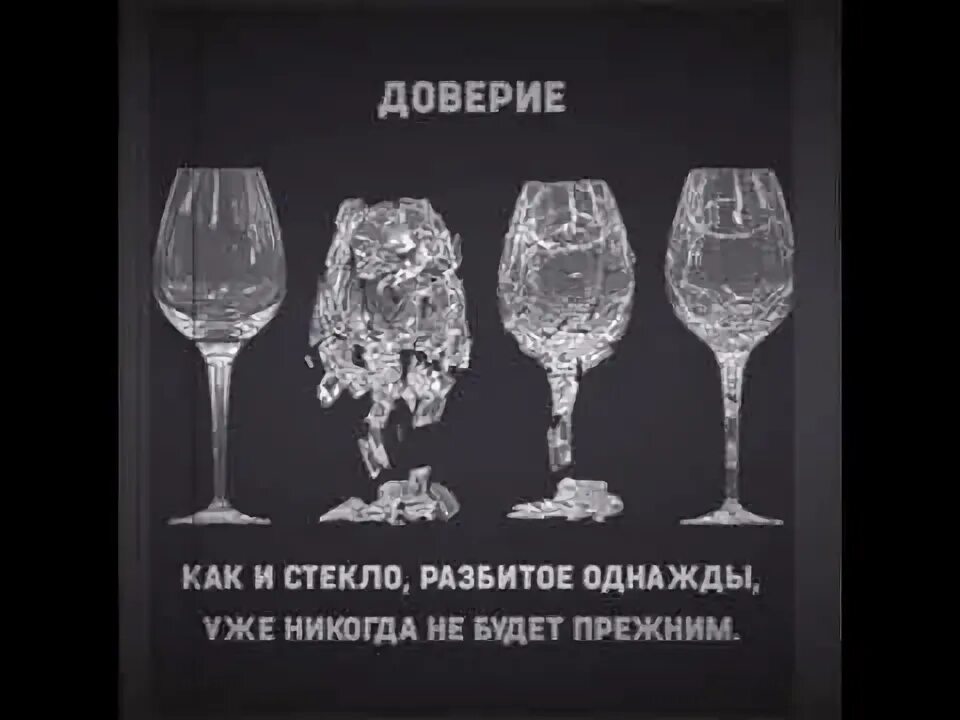 Однажды в московском зоопарке разбилось стекло. Доверие как стекло. Доверие как тарелка.