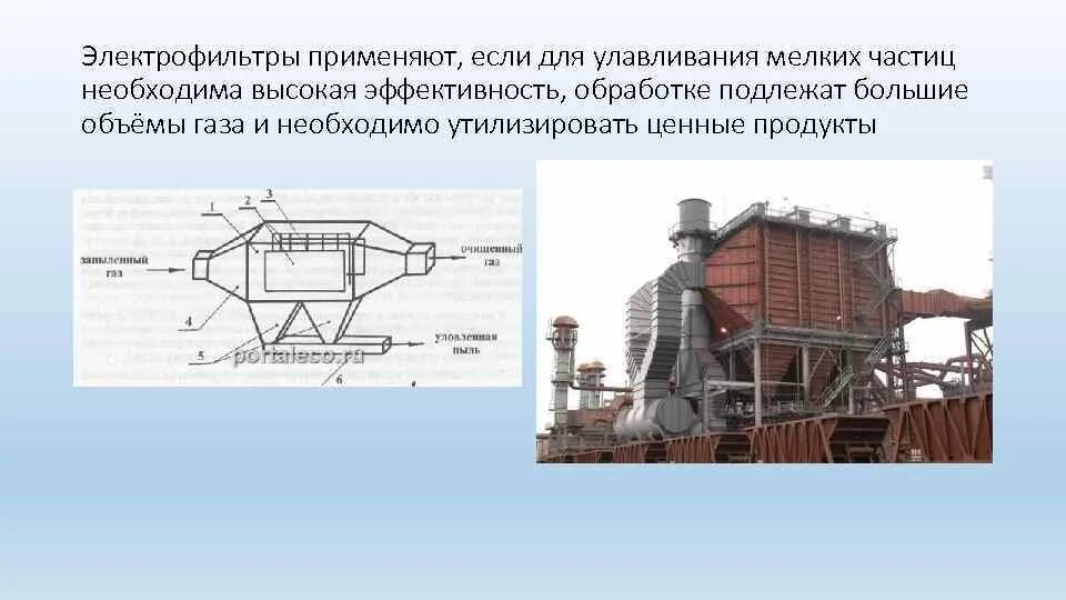Создает большую площадь для улавливания пыльцы имеет
