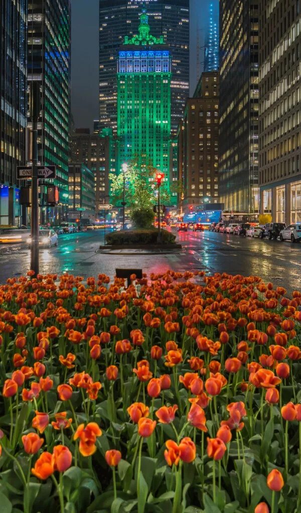 Street of flowers. Улица парк Авеню Нью Йорк. Нью-Йорк Сити Манхэттен. Цветущий город. Цветы в городе.