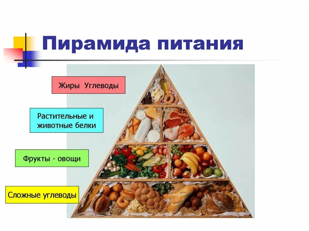 Пища человека белки жиры и углеводы. Пирамида белки жиры углеводы. Пирамида питания здорового человека белки жиры углеводы. Пирамида соотношения белков жиров углеводов. Пирамида питания белки.