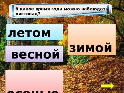 В какое время года листопад
