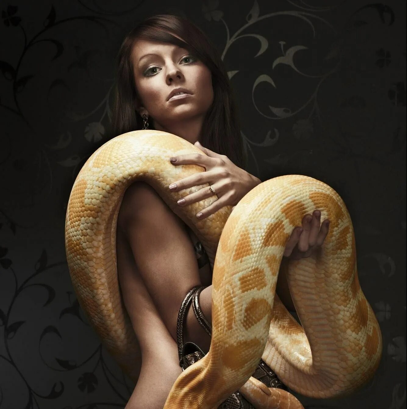 Девушка питона. Девушка змея. Девушка со змеями. Красивая девушка со змеей.