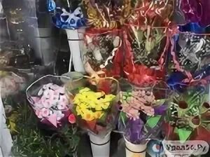 Цветы 56 оренбург. Урал56 цветы. ярмарка елок в павильоне в цветочном салоне фото. цветы по одной цене нижний новгород.