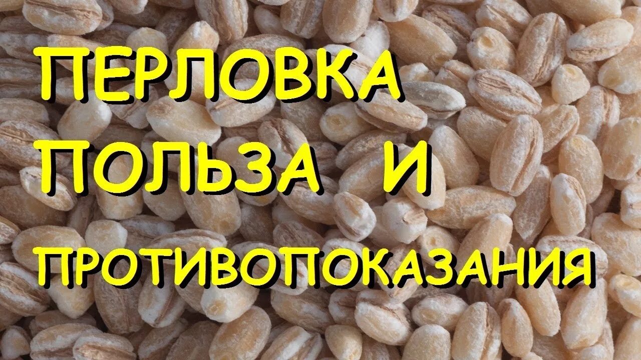 Перловая крупа. Чем полезна перловка. Перловая цельнозерновая крупа. Перловка полезна для организма. Крупа перловая польза и вред для организма