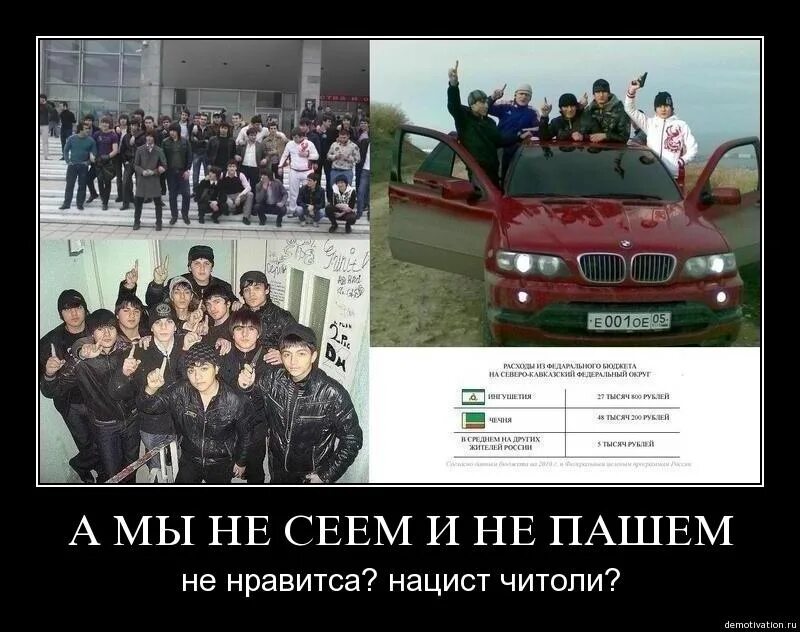 Мы не пашем не сеем не строим