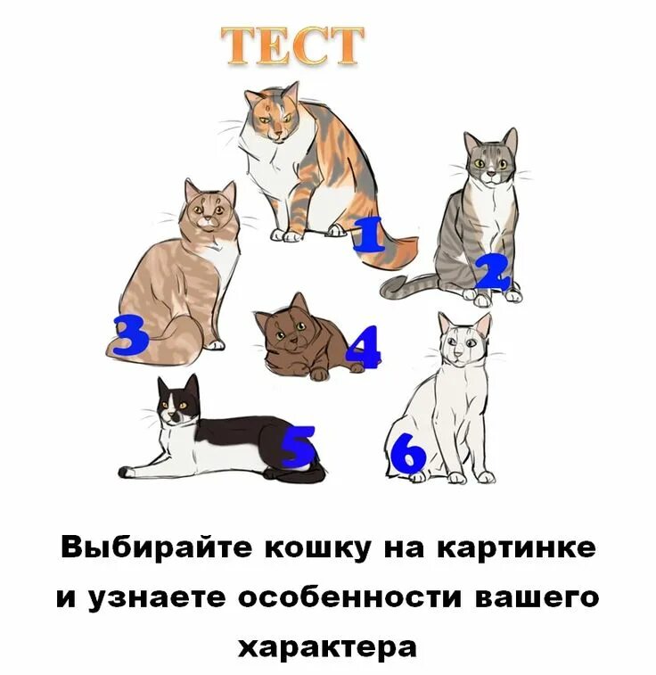 Кошки подобрать слово