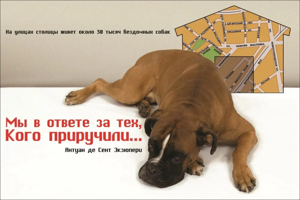 Собак ответ. Социальная реклама в газете. собака реклама плакат. социальная реклама из газет и журналов. реклама с целью обеспечения информацией.