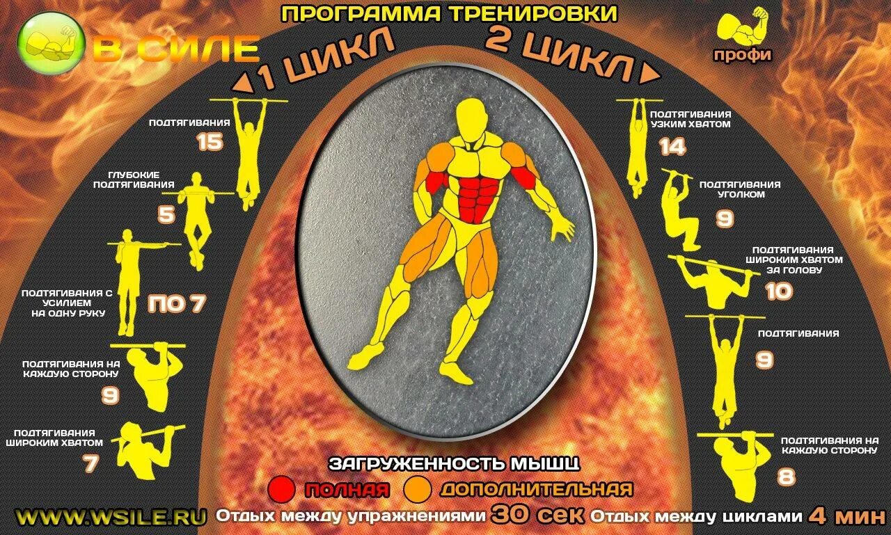Программа тренировок упражнения. Программа тренировок. программа тренировок на турнике. программа тренировок на силу. программа тренировок для мужчин на турнике.