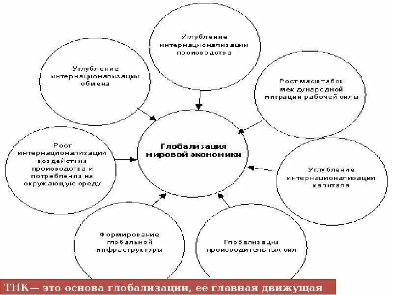 Единая идеология 9 класс. Лесовосстановление дуб черешчатый. Плантации деревьев. Мелиоративные защиты лесных насаждений. Насаждение единого.