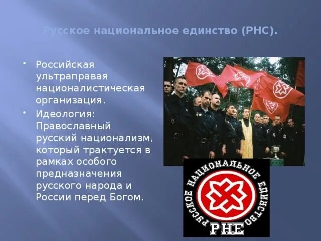 Партия национальный союз. РНЕ идеология. РНЕ цель. Русское национальное единство идеология.