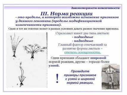 Норма реакции это пределы изменчивости
