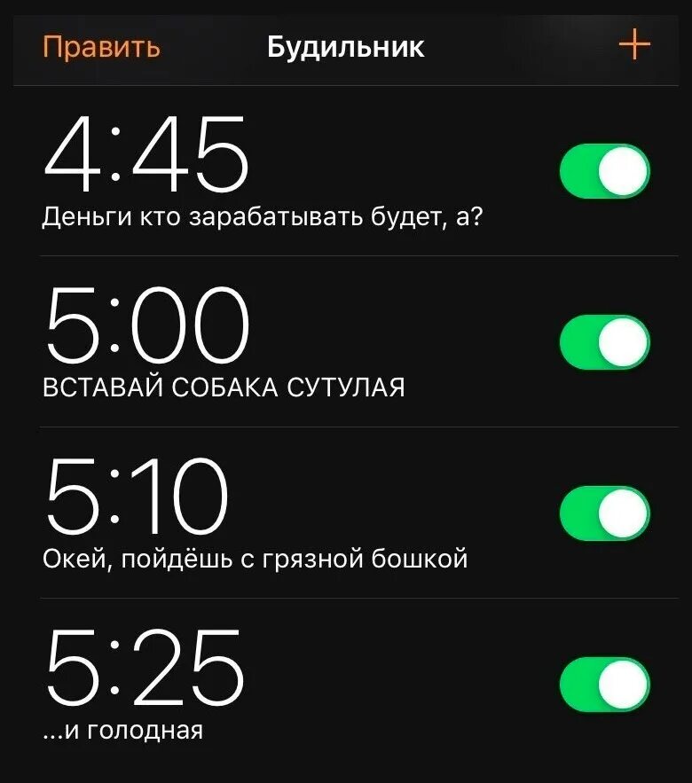 Поставь будильник на каждый день. Будильник. Будильник Мем. Будильник на телефоне. Вставай собака сутулая будильник.