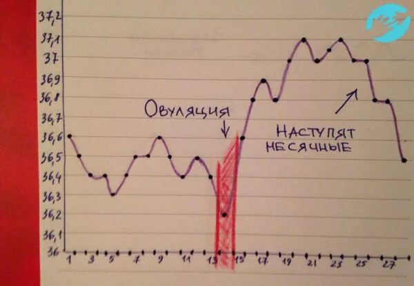 Температура перед месячными сколько