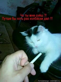 Раз раз раз колбаса