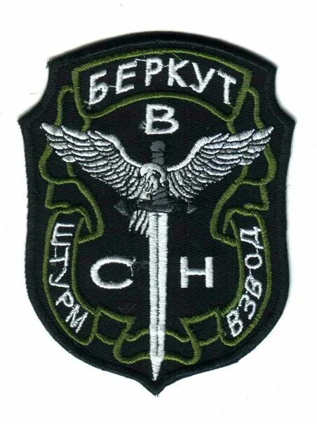 Шевроны беркуты. Шевроны беркуты. Шеврон омон беркут росгвардии. Беркут спецподразделение мвд украины шеврон. Беркут украина эмблема.