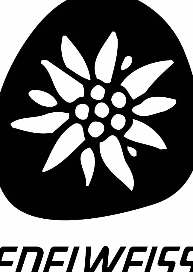 Эдельвейс логотип. Эдельвейс цветок вектор. Эдельвейс раскраска. Материал с рисунком Эдельвейс.