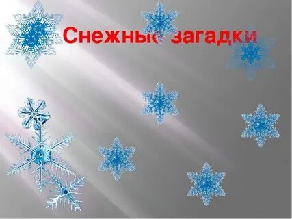 Снежные загадки